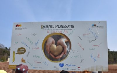 Auftakt zum Kartoffeljahr mit KINDER-Pflanzaktion in Gundelshalm am 11.04.19